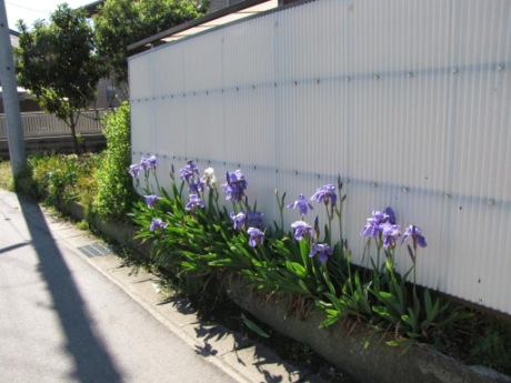 画像5